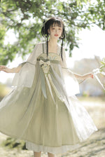 lolita embroidery dress PL53291