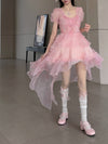 Pink Trailing Dress PL53355