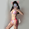 Cute Pink Bikini PL53802