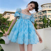 Cute Puff Sleeve Dress PL51935