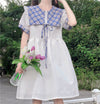 Chic sweet dress PL50562