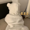 Cute bear hooded sweater  PL50832