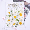 Dried flower stickers face jewelry PL50857