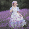lolita embroidered dress  PL52517