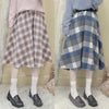 Harajuku plus velvet all-match skirt  PL50826
