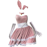 Sexy Bunny Suit PL52088