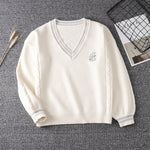 V-neck sweater PL50069