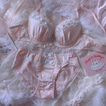 Pink embroidered underwear PL51909