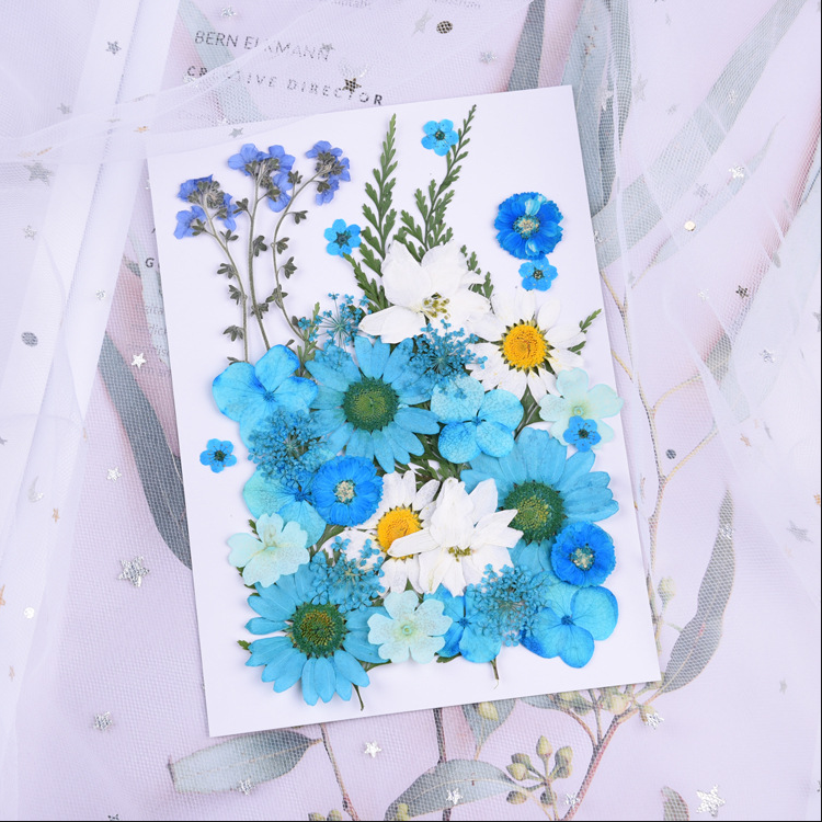 Dried flower stickers face jewelry PL50857