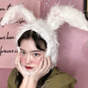 Rabbit ear hood PL20372